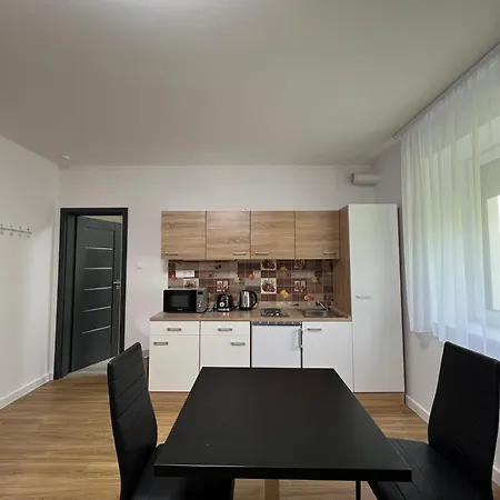 Karpatia Apartman 3 Apartment Tiszaujvaros Exterior photo